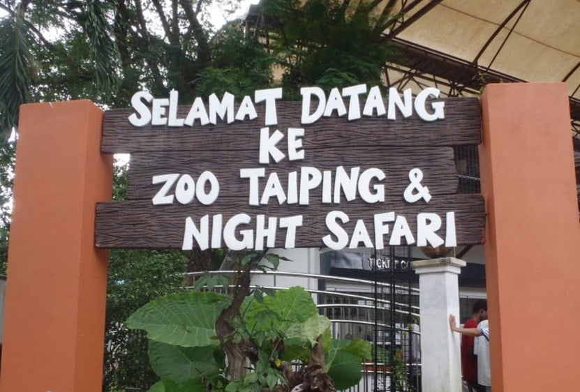 PKPB: Zoo Taiping dan Nights Safari alami kerugian