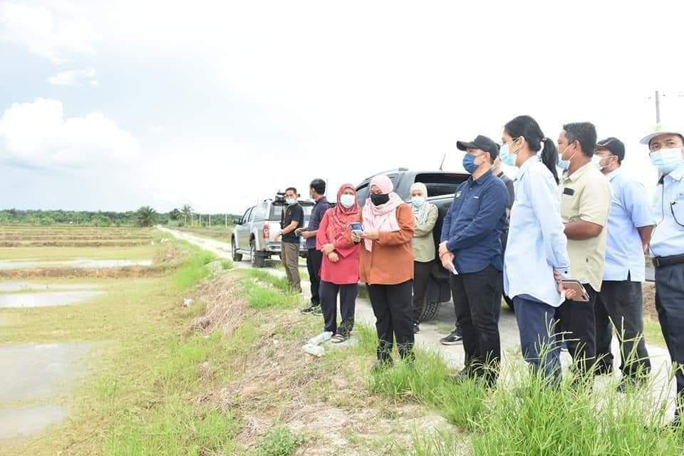 75 petani terjejas, 125 hektar sawah padi banjir di Bagan Serai