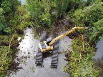 Penduduk kecewa aktiviti pembersihan musnahkan anak pokok bakau