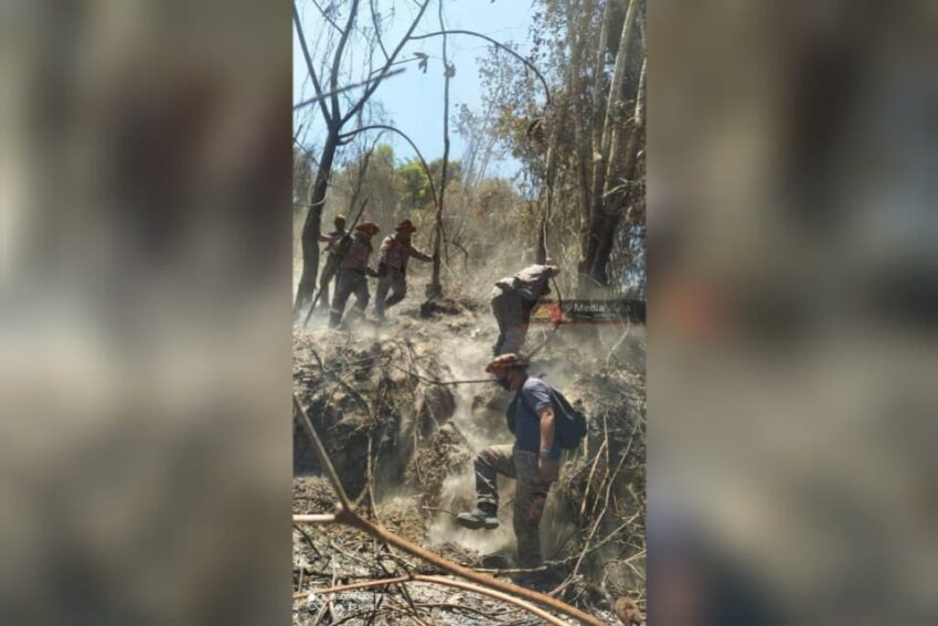 Bomba mendaki hampir 10km untuk padam kebakaran hutan