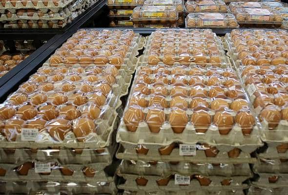 AEON tarik telur tercemar, pelanggan yang telah beli diminta pulangkan, wang dikembalikan