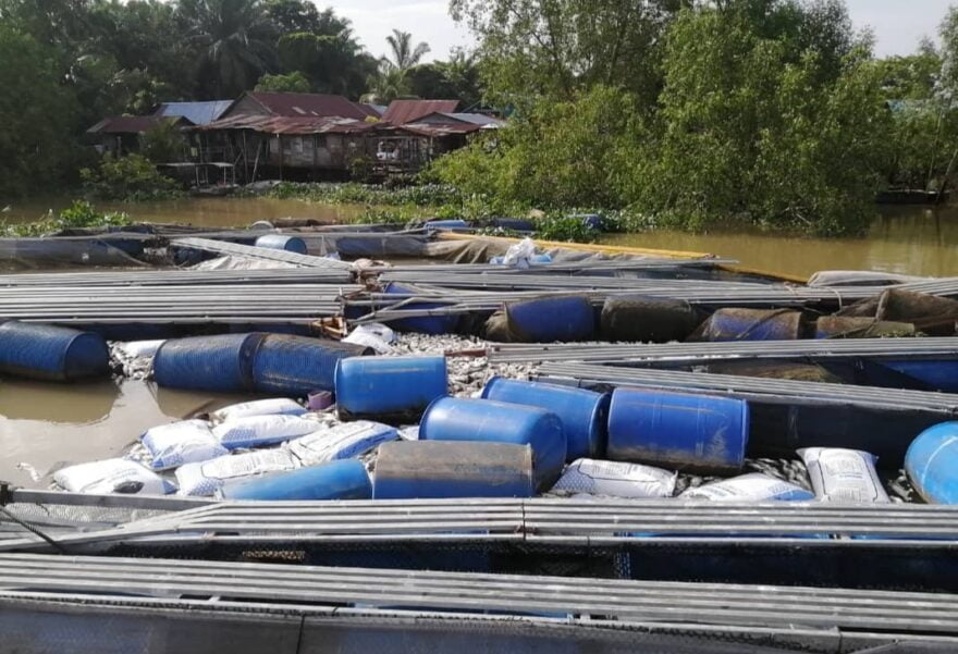 Sangkar pecah, beratus ribu ikan terlepas ke Sungai Perak