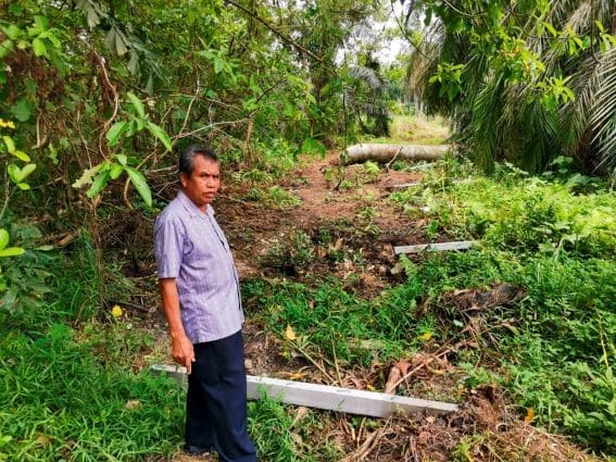 ‘Sudah 30 tahun bercucuk tanam, permohonan TOL tak dibalas’