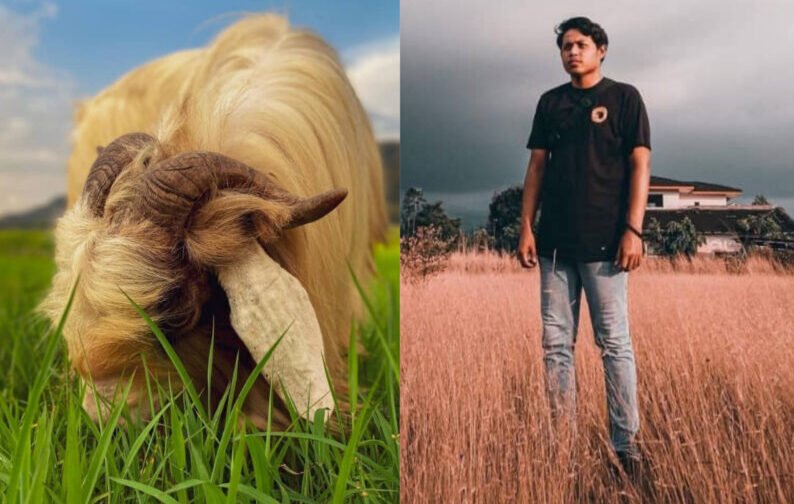 Lelaki terharu video Taiping raih hampir setengah juta tontonan, photoshoot pengantin temukannya dengan ‘kambing cantik’