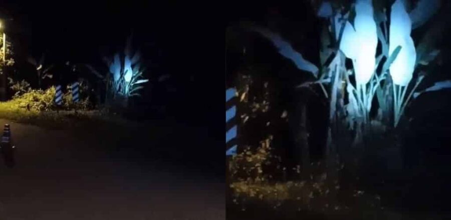 [Video] Goyang badan, geleng kepala, pocong ganggu abang polis di SJR