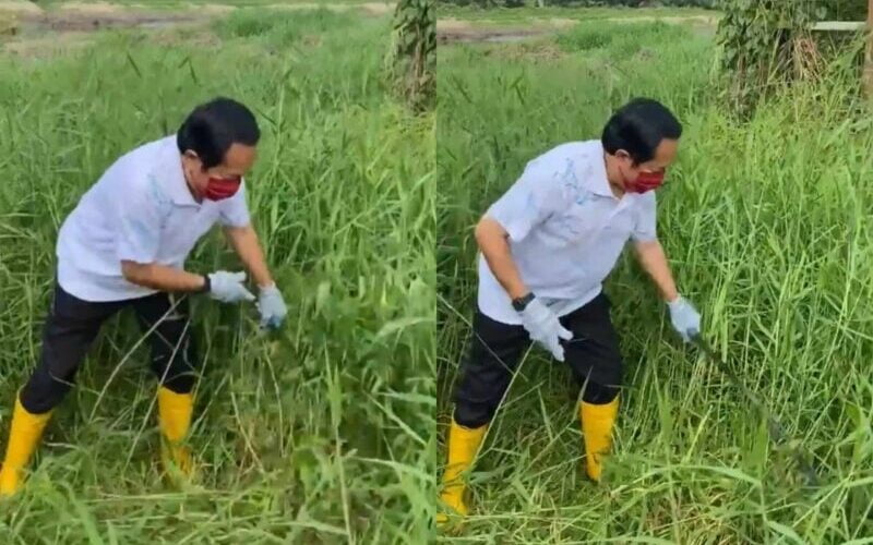 [Video] “Baik guna mesin je” – Netizen ‘geli hati’ tengok Ahmad Maslan tebang rumput panjang guna parang