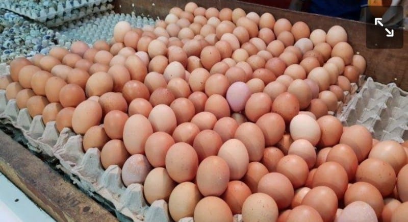 Harga telur naik 3 sen, dijangka naik sedikit lagi