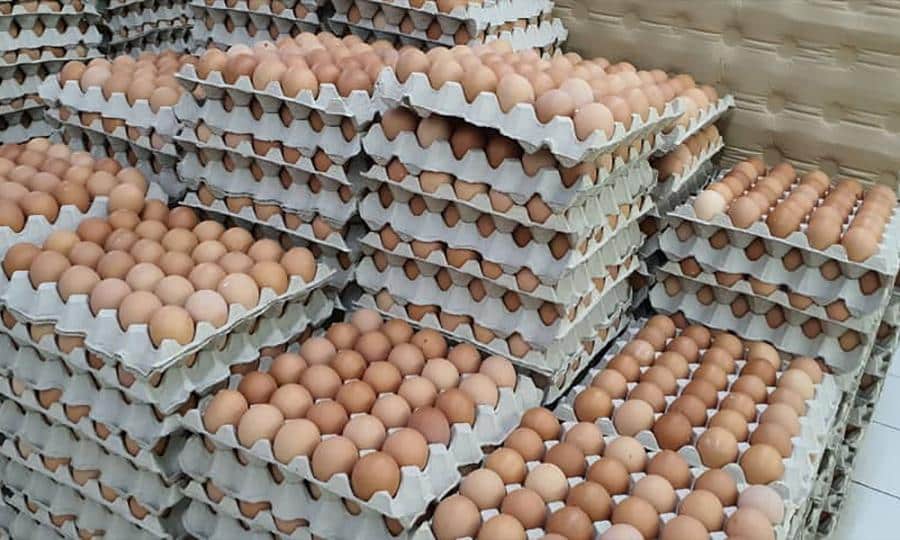 Harga telur Perak naik ‘mencanak’