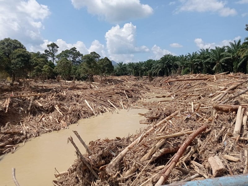 JAS luluskan 46 laporan EIA untuk projek tanah di Pahang, termasuk pembalakan & perladangan