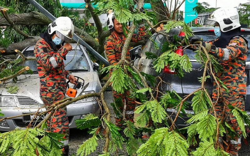 Lima kenderaan rosak dihempap pokok akibat ribut di Ipoh
