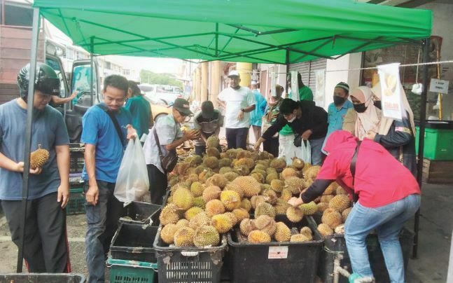 Jual durian RM1.99 sekilogram