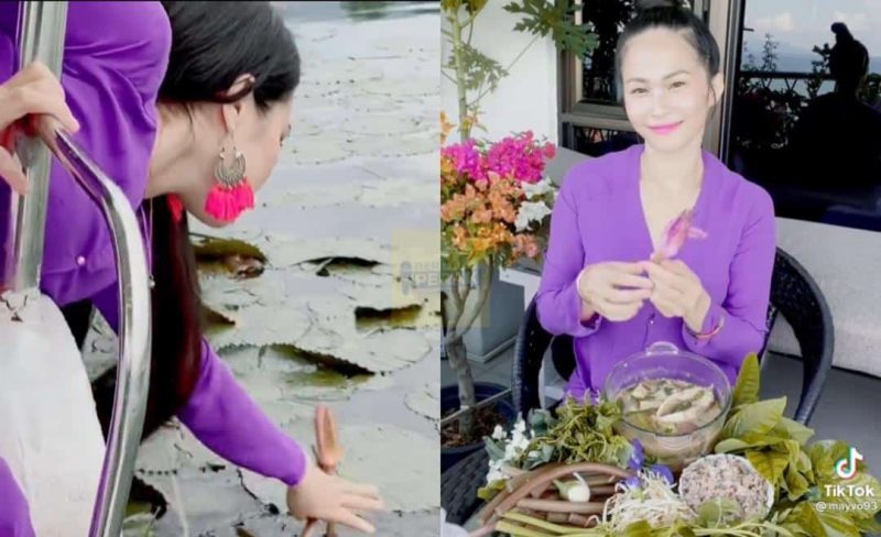 Wanita sanggup redah Tasik Taiping sebab teringin nak makan bunga lili air
