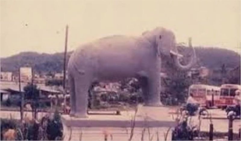 Bersaiz besar tinggi sebuah rumah, ini kisah gajah bernama Aduka di Gerik