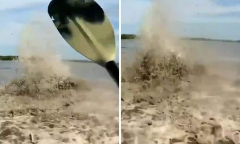 Misteri Sulur Bidar yang tidak pernah terungkai, kaki pancing mesti pernah jumpa Misteri Sulur Bidar yang tidak pernah terungkai, kaki pancing mesti pernah jumpa