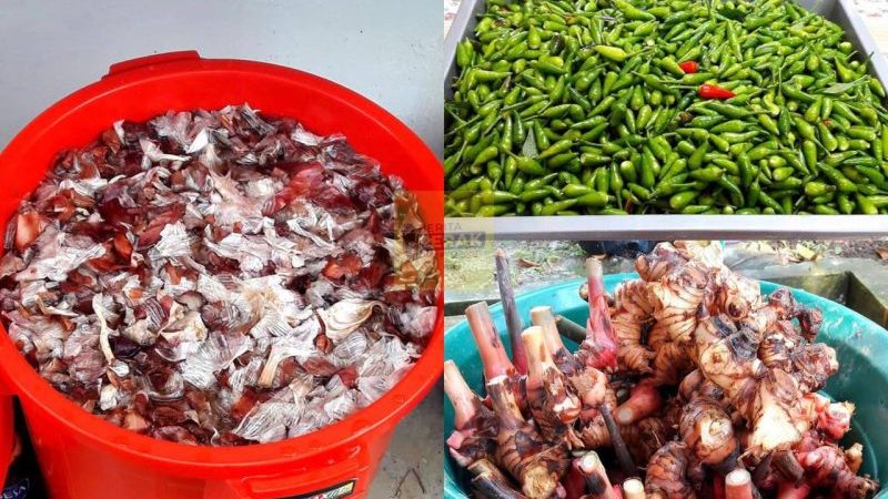 Lelaki kongsi rahsia suburkan tanaman, buat baja sendiri guna kulit bawang Lelaki kongsi rahsia suburkan tanaman, buat baja sendiri guna kulit bawang