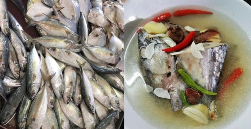 “Nak anak otak bijak, cuba masak ni” – Doktor kongsi seminggu dua kali amalkan buat lauk ikan, paling bagus masak singgang “Nak anak otak bijak, cuba masak ni” – Doktor kongsi seminggu dua kali amalkan buat lauk ikan, paling bagus masak singgang