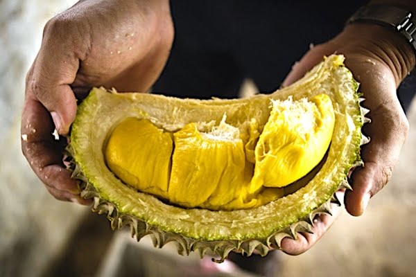7 jenis makanan dan minuman tak boleh dimakan bersama dengan durian, bahaya!