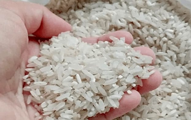 Kerajaan perkenal beras putih Malaysia Madani berharga RM30 sekampit