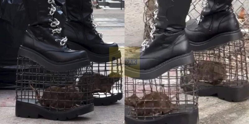 Pakai kasut ada ‘sangkar’ tikus, netizen pelik tengok cara individu ini berfesyen
