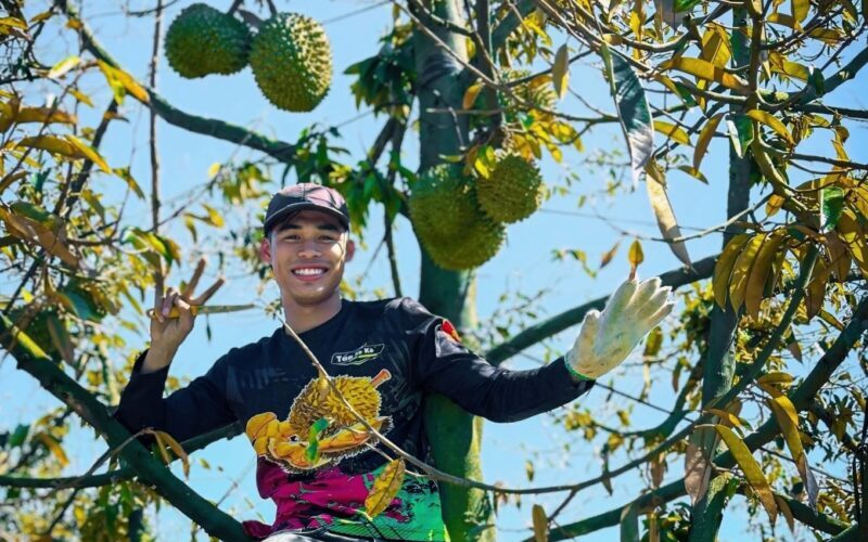 Kerja petik buah durian dibayar gaji lebih RM9,000 sebulan