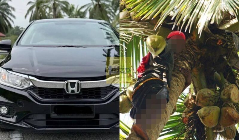 “Dia tak tahu Honda City ni level angkat buah kelapa je” – Lelaki bidas individu gagal SPM bangga dapat gaji RM3,500