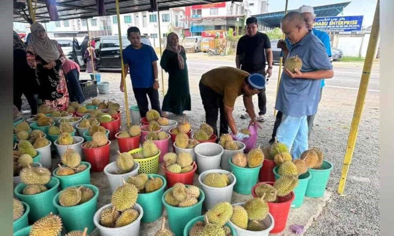 Berniaga sambil bersedekah, peniaga tawar pelanggan tukar syiling 5 sen dengan durian