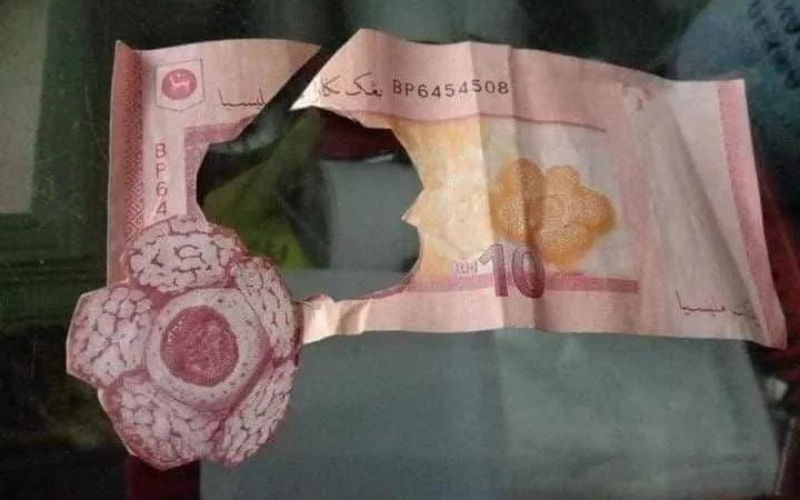 “Ni baru guntingan yang ke-4” – Cikgu pesan bawa gambar bunga rafflesia, anak murid ambil dari duit RM10