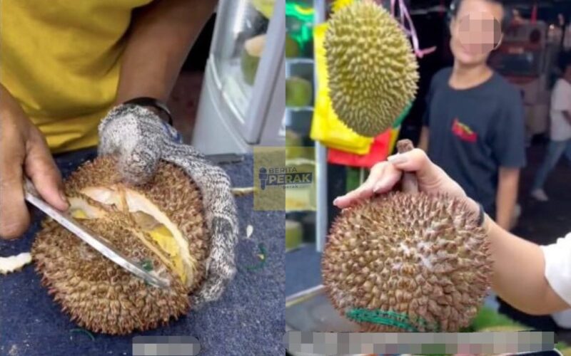 “Mahalnya..” – Netizen terkejut influencer China beli durian beku ‘Black Thorn’ harga RM144 “Mahalnya..” – Netizen terkejut influencer China beli durian beku ‘Black Thorn’ harga RM144
