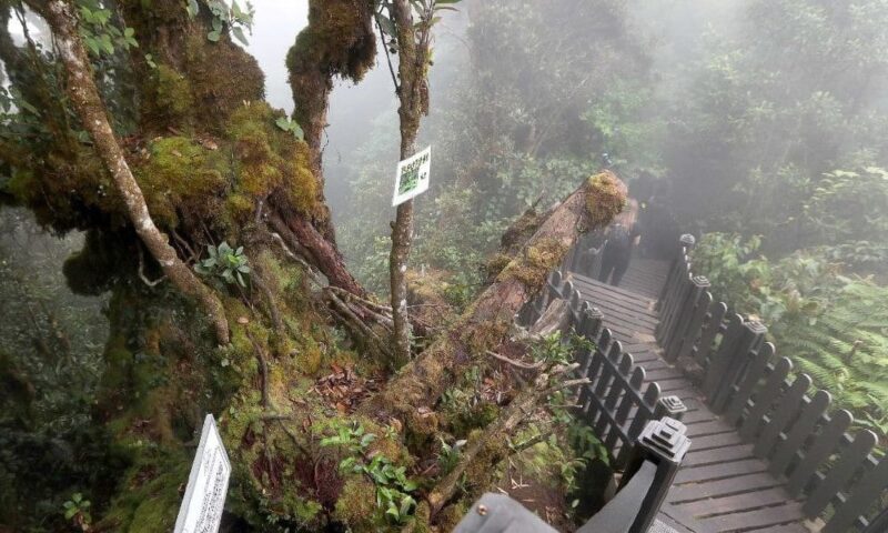 Tiga lokasi pelancongan di Cameron Highlands ditutup sementara