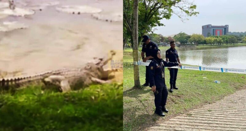 Muncul kelibat buaya di Tasik Shah Alam, MBSA pasang tali penghadang & perangkap