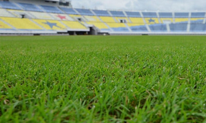 Hanya 4 negeri tak mahu tukar rumput stadium utama