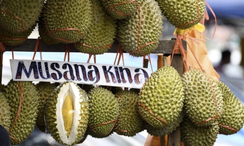 Pengurus syarikat rugi RM2.6 juta beli Musang King dari Malaysia