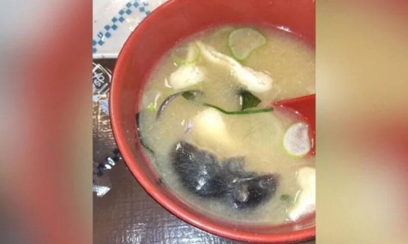 Saham restoran Sukiya merudum selepas bangkai tikus ditemui dalam hidangan Saham restoran Sukiya merudum selepas bangkai tikus ditemui dalam hidangan