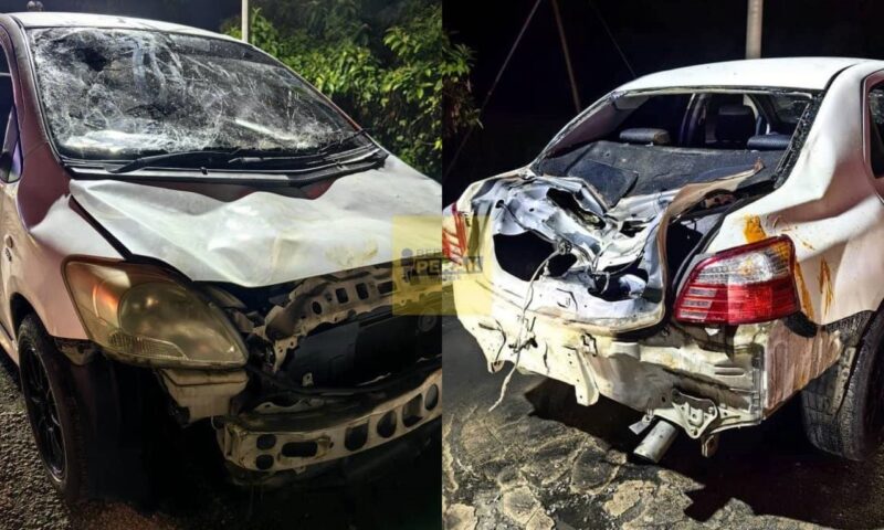 Gajah naik minyak, pijak Vios selepas kenderaan belakang bunyikan hon Gajah naik minyak, pijak Vios selepas kenderaan belakang bunyikan hon