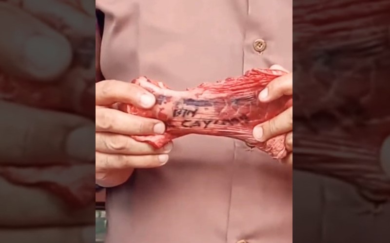 Penduduk kampung terkejut jumpa tulisan nama peserta korban di paru-paru lembu Penduduk kampung terkejut jumpa tulisan nama peserta korban di paru-paru lembu