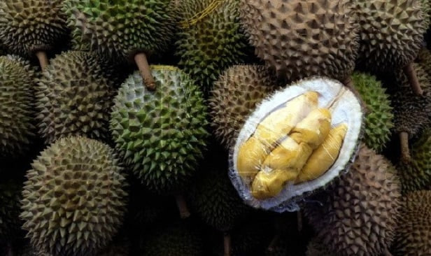 Durian Musang King Malaysia dinobat sebagai ‘King of Kings’ Durian Musang King Malaysia dinobat sebagai ‘King of Kings’